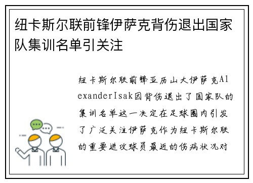 纽卡斯尔联前锋伊萨克背伤退出国家队集训名单引关注